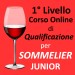 11° CORSO ONLINE PER SOMMELIER VINO (1° Livello) 11° CORSO ONLINE PER SOMMELIER VINO (1° Livello)