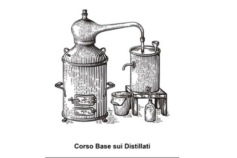 Dispensa PDF 1° Livello
