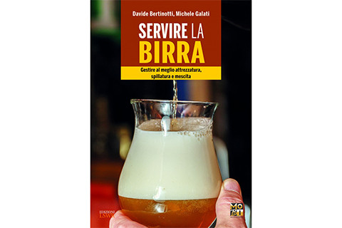 Talvolta non è sufficiente avere a disposizione un&rsquo;eccellente birra in fusto o in bottiglia per garantire un bicchiere perfetto e godere di una grande esperienza di bevuta