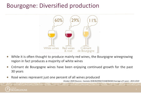 Borgogna Wine