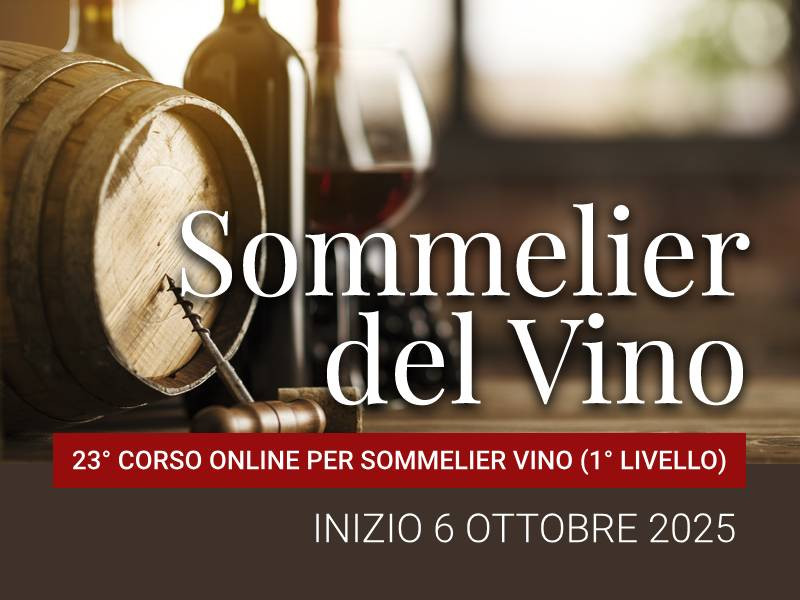 Vino