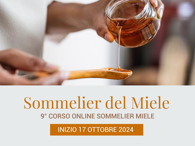 Sommelier Miele