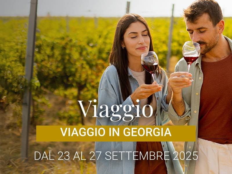 Viaggi